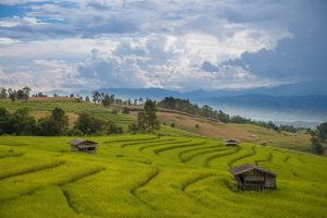 Scopri di più sull'articolo Vivere a Phuket: Guida Completa per Espatriati che Sognano di Trasferirsi in Thailandia
