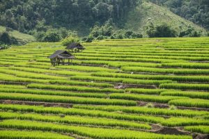 Scopri di più sull'articolo Bangkok vs Kuala Lumpur: Quale città scegliere per vivere da expat in Thailandia?