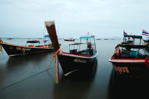 Scopri di più sull'articolo Guida alla Sostenibilità per Espatriati