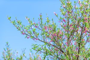 Scopri di più sull'articolo Confronto culturale per espatriati