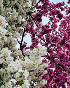 Scopri di più sull'articolo Vivre e Lavorare in Thailandia: Le Migliori Città