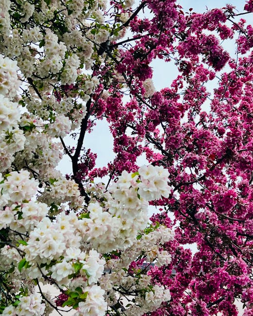 Al momento stai visualizzando Vivre e Lavorare in Thailandia: Le Migliori Città