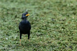 Scopri di più sull'articolo Cultura e Stile di Vita