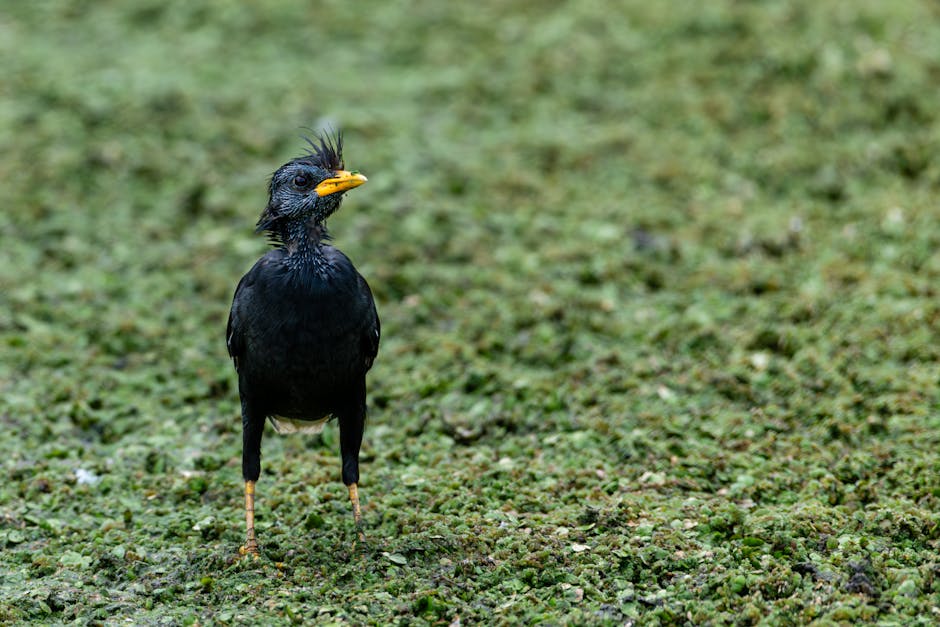 Al momento stai visualizzando Cultura e Stile di Vita