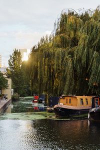 Scopri di più sull'articolo Guida per una Nuova Vita in Asia