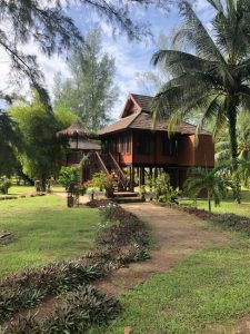 Scopri di più sull'articolo Reddito passivo in Thailandia